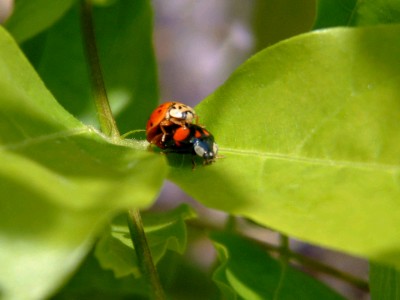 DSCF1357.jpg
